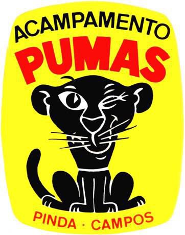 acampamento-dos-pumas logo g acampamento-dos-pumas logo g